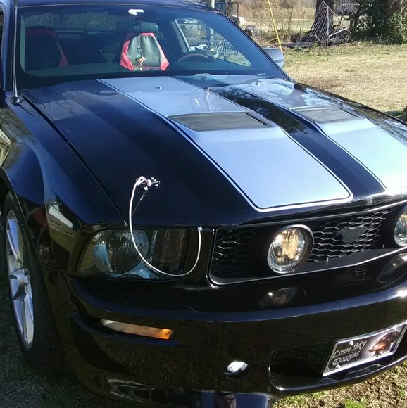 Meet your Posher, Lori - Picture 1 of 1